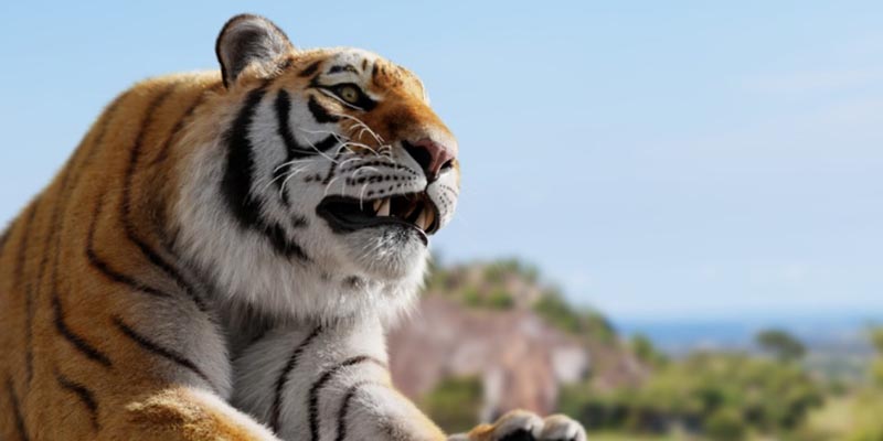 Con hổ số gì tùy thuộc vào nội dung của giấc mơ rất nhiều