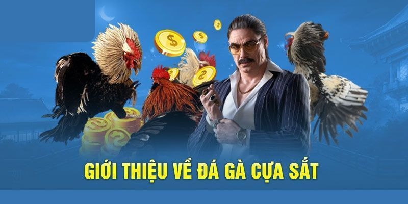 Giới thiệu vài nét về bộ môn đá gà cựa sắt