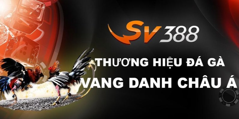 Tổng quan về sảnh đá gà SV388