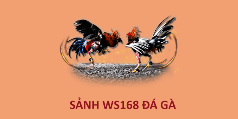 Ưu điểm nổi bật của sảnh WS168